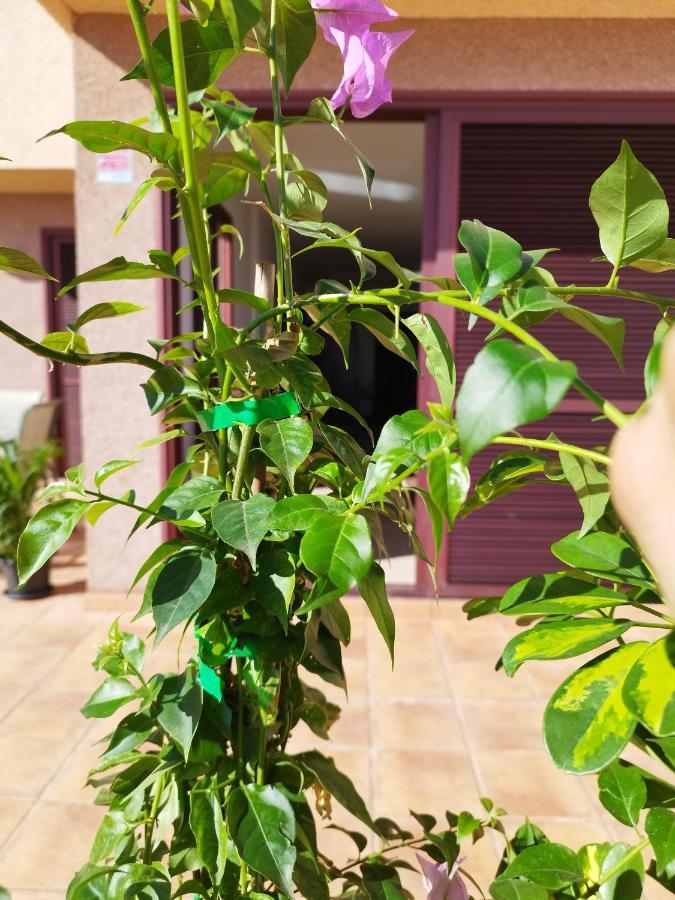 Vivienda Vacacional Compartida Radazul Bed and Breakfast Buitenkant foto