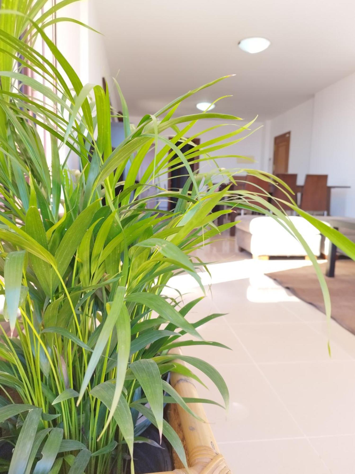 Vivienda Vacacional Compartida Radazul Bed and Breakfast Buitenkant foto